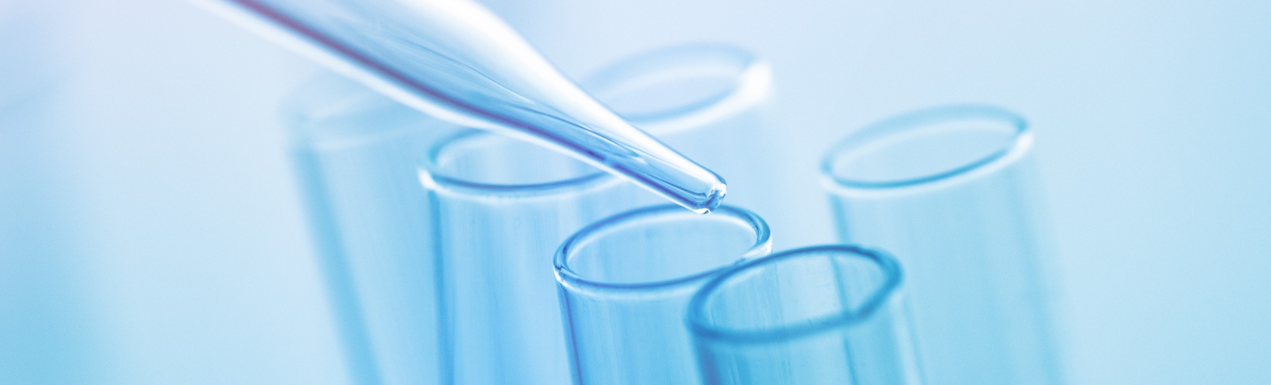 IRM Applauds ISSCR’s Update to its Guidelines for Stem Cell Research and Clinical Translation