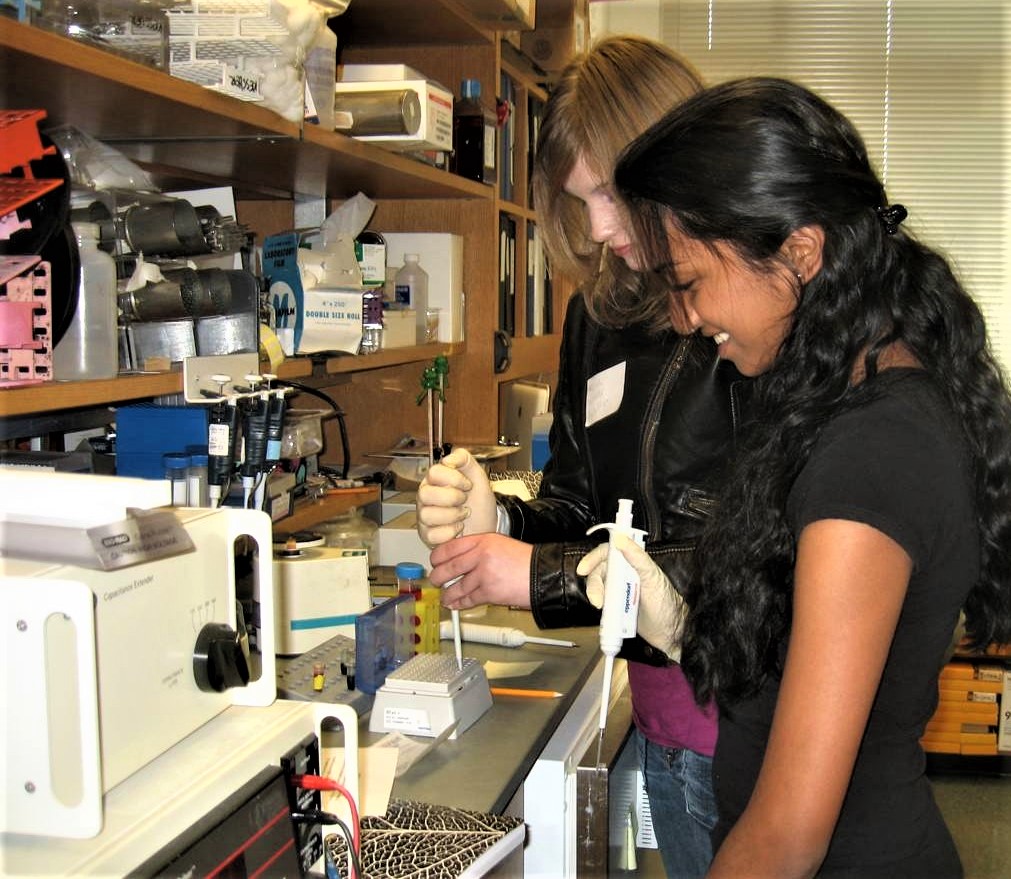 Experimenting with stem cells at the bench
