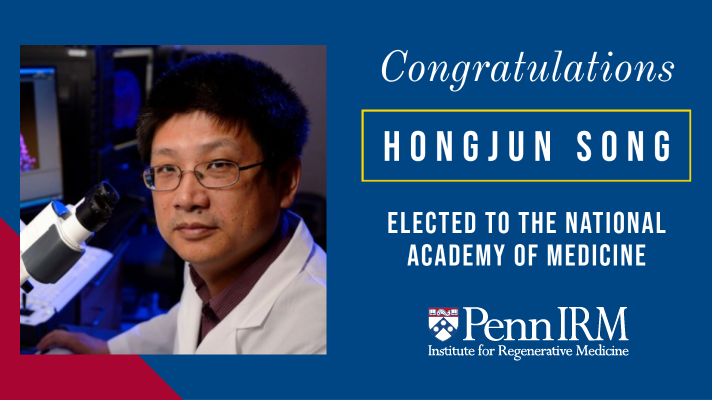 Hongjun Song elected to the National Academy of Medicine