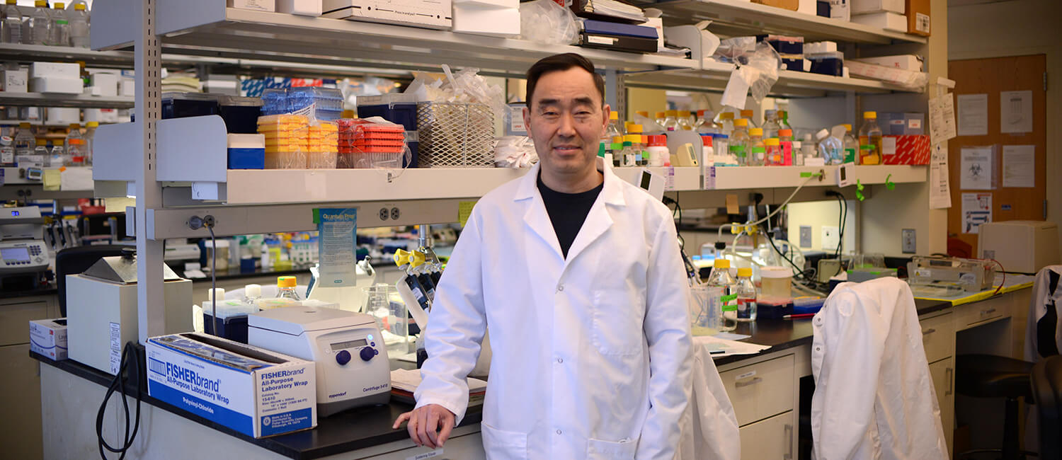A newly identified stem cell regulator enables lifelong sperm production