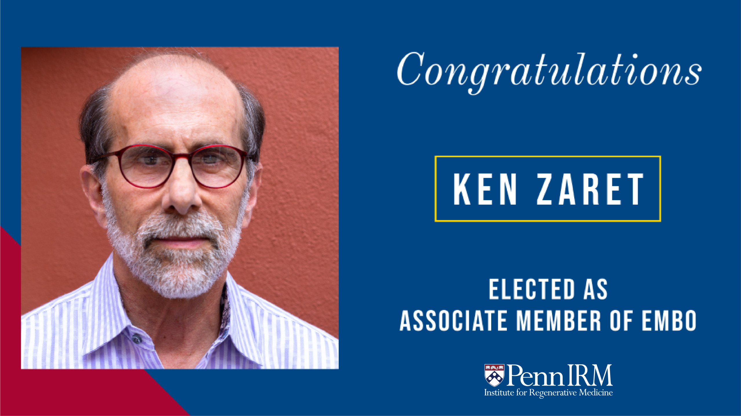 IRM Director Ken Zaret elected as Associate Member of EMBO