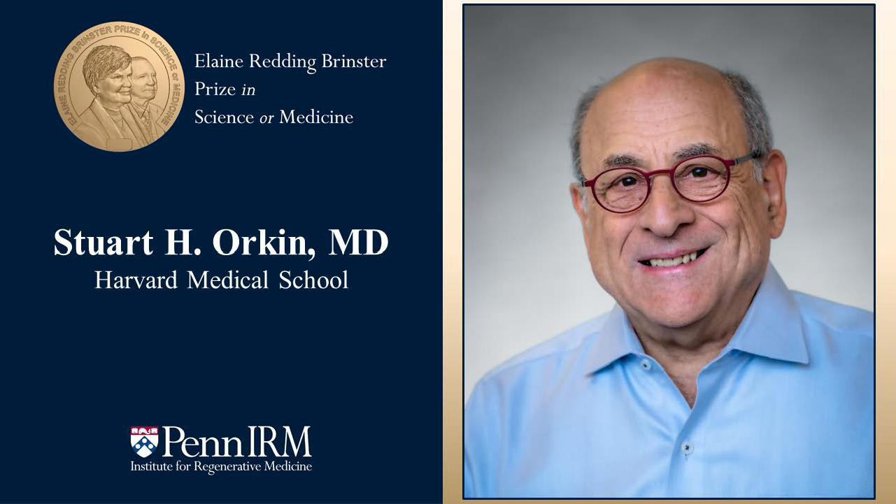 IRM Awards 3rd Elaine Redding Brinster Prize to Stuart Orkin, MD
