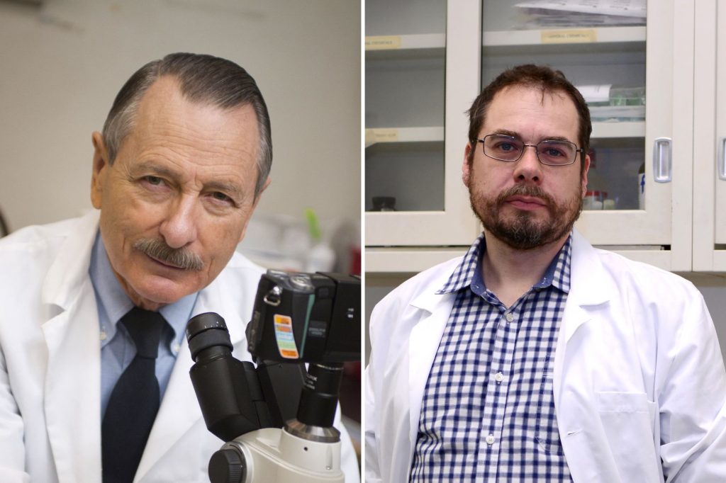 Ralph Brinster, Richard King Mellon Professor of Reproductive Physiology, and Eoin Whelan, senior research investigator in the Brinster Lab.