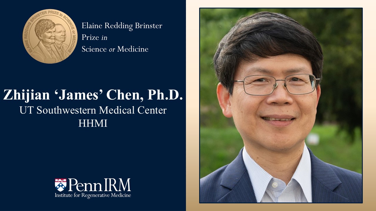 IRM Awards 5th Elaine Redding Brinster Prize to Zhijian ‘James’ Chen, PhD