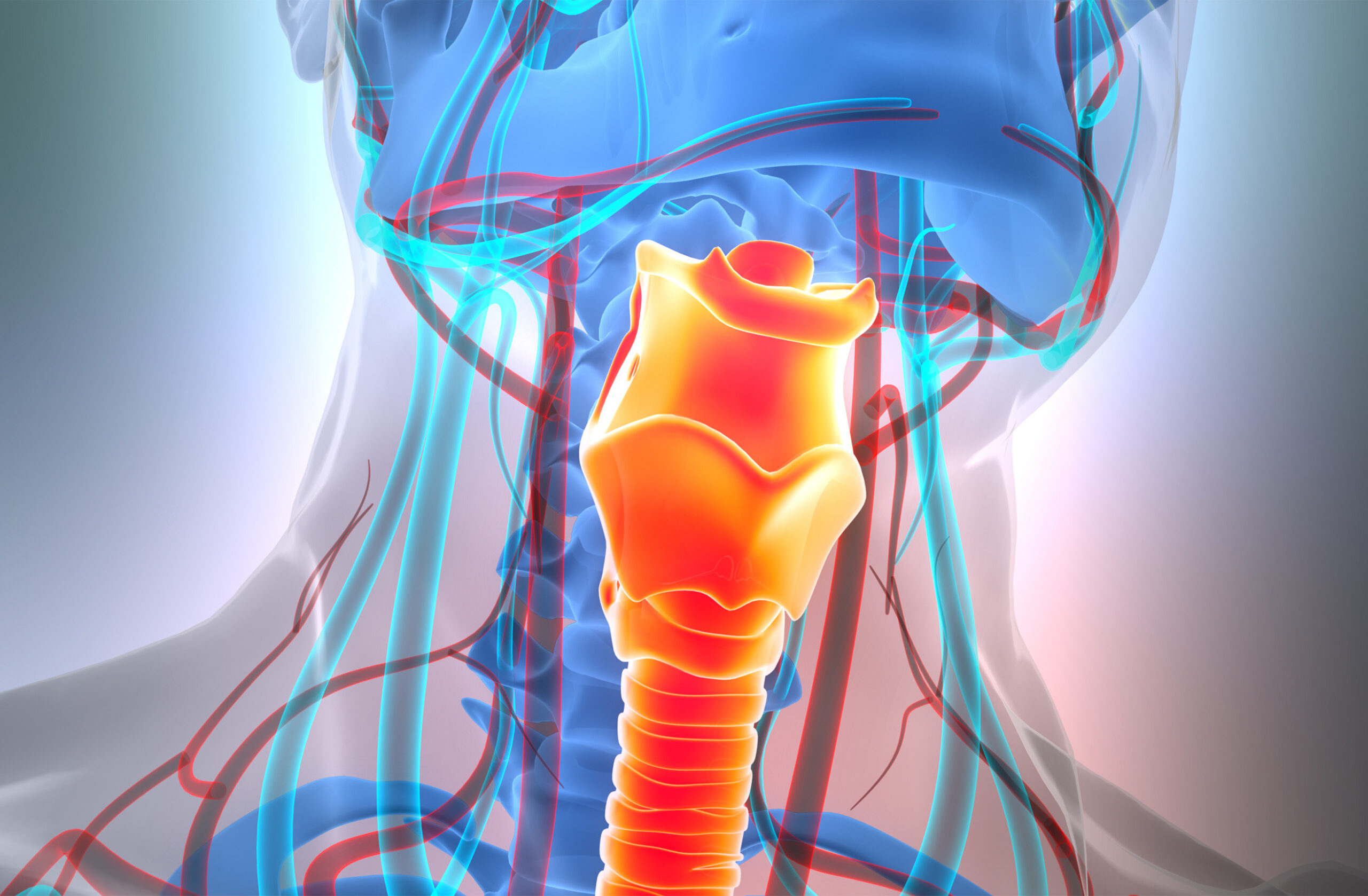 A translational approach to airway reconstruction leveraging decellularized meniscus and cartilage progenitor cells