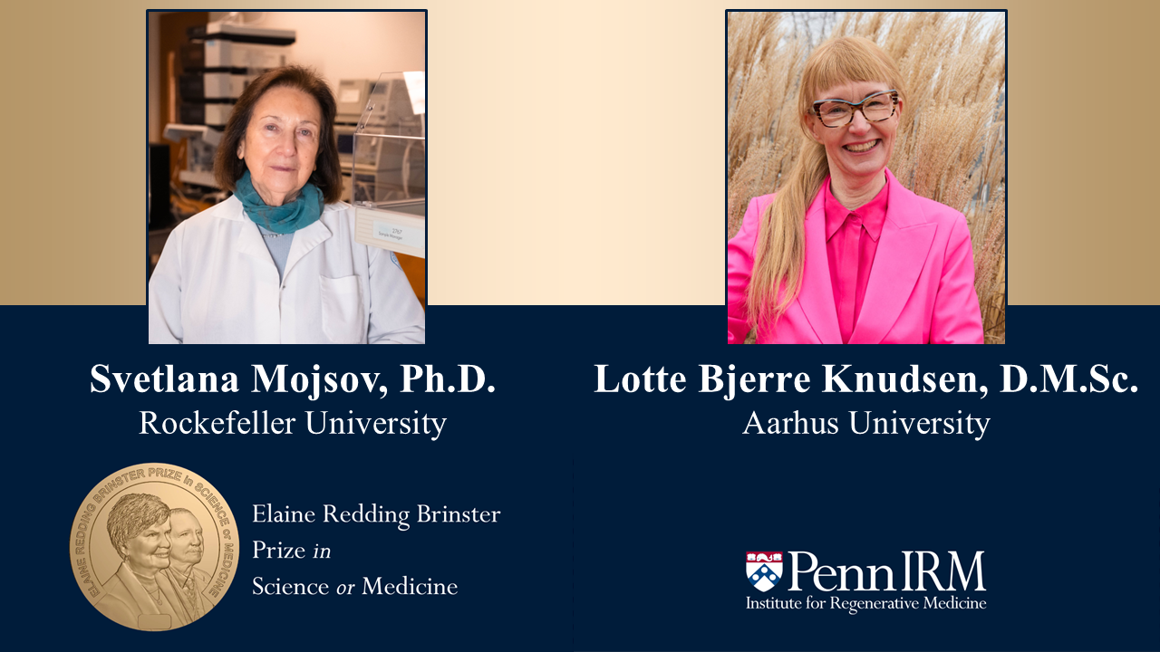 IRM Awards 6th Elaine Redding Brinster Prize to Svetlana Mojsov, PhD & Lotte Bjerre Knudsen, DMSc